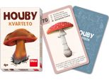 Dino Toys Funghi Carte Del Quartetto