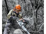 Uvex 9774237 Uvex Pheos Forestry Orange