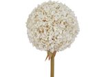 Hill Interiors - Fiore Artificiale HI5069 (Taglia Unica) (Bianco)