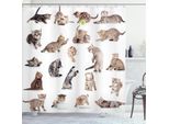 Abakuhaus Tenda Da Doccia Con Gatto, Divertente Gattino Giocoso Su Sfondo Bianco, Foto, 175 X 240 Cm, Marrone, Nero, Bianco