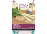 Semi Di Lattuga Buzzy Xotica - Circa 1 Gr | Buzzy_080414