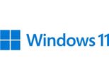 Windows 11 Pro 64Bit Dsp 1Pk NiederläNdisch Dvd
