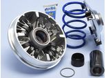 Polini Variatore Hi-Speed 12 Rulli - Per Honda Sh 350