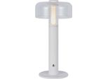 Lampada Da Tavolo 1W 100Lm Led Usb Con Batteria Ricaricabile Bianco