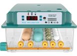 Incubatrice Di Uova Completamente Automatica, Controllo Digitale Della Temperatura, 16 Uova