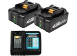 Batteria Agli Ioni Di Litio, Capacità 6000Mah, Tensione 18V, 2 Batterie 1 Caricatore