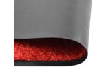 Vidaxl Zerbino Lavabile Rosso 40X60 Cm