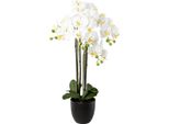 Gasper Orchidea Farfalla - Phalenopsis White 4 Pannocchie 83 Cm - Piante Artificiali