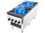 Cucina Commerciale A Gas A 2 Fuochi - Piastra Di Lavoro - Cucina Bistrot Per Catering - Cucina Commerciale