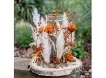 Fiore Secco Esotico Plumosum Arancione 25 Pezzi Per Decorazioni Autunnali E Decorazioni Commemorative