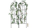 Set Di 2 Tralicci Per Piante Rampicanti 51X180Cm