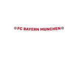 Catena Porta Lettere Fc Bayern Monaco 180 Cm