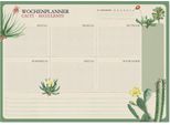 Erik Editores Cactus Botanici A4 Planner Settimanale Tedesco Beige Beige Taglia Unica