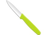 Spelucchino, A Punta, Hendi, Verde, (L)192Mm
