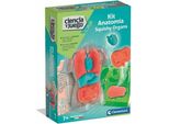 Gioco Didattico Clementoni