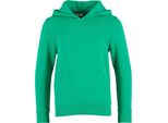 Build Your Brand - Felpa Con Cappuccio "Basic"" Per Bambini RW8947 (158-164) (Verde Erba)"