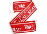 Sciarpa BS444 (Taglia Unica) (Rosso/Bianco) Del Liverpool Fc Jaquard Knit Established 1892