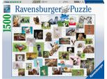 Ravensburger 16711 Ravensburger Funny Animals Collage Puzzle 1500 Teile