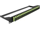 Delock - Patch Panel - Rack Montierbar - Sc Duplex Mm X 24 - Schwarz, HellgrüN - 1U - 48.3 Cm (19")"