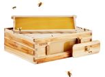 Set Di Partenza Per Arnia Vevor, Cassetta Media, Legno Di Cedro Naturale Al 100 % Rivestito Di Cera D'api, Set Di Arnie Langstroth Con 10 Telai E Pareti Centrali, Finestre Per Api In Acrilico Trasparente
