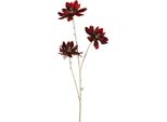 Countryfield Fiore Artificiale Magnolia Decorazione Bordeaux Oro 81Cm