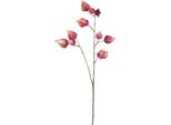 Countryfield Fiore Artificiale Decorazione Physalis Viola 95Cm Ramo Artificiale