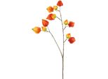 Countryfield Fiore Artificiale Physalis Decorazione Arancione 95Cm Ramo Artificiale