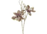Countryfield Fiore Artificiale Magnolia Decorazione Giocattolo Champagne Oro 84Cm