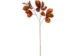 Countryfield Fiore Artificiale Giocattolo Parthenocissus Marrone 80 Cm Decorazione