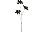 Countryfield Fiore Artificiale Magnolia Decorazione Nero-Oro 81 Cm