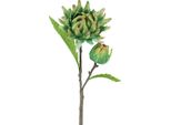 Decorazione Floreale Artificiale Countryfield Cynara Cardunculus Verde 73Cm