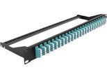 Delock 19" Lwl Patchpanel 24 Port Lc Quad Aqua"