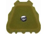 Filtro Aria Twin Air Pre-Oliato - 152221X