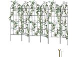 Set Di 6 Tralicci Per Piante Da Arrampicata 51X180Cm