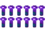 Bolany 12PCS Mountain Bike Disco Freno Backing Bulloni In Lega Di Acciaio Acciaio
