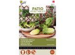 Buzzy Patio Veggies Lattuga Romana Semi Rossi E Verdi - Circa 0,2 Gr | Buzzy_083014