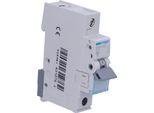 Interruttore Miniaturizzato, 6Ka, Caratteristica B, Unipolare, 16A