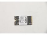 Lenovo 5SS0V42253 Unità Interna A Stato Solido M.2 256 Gb Pci Express (5SS0V42253)