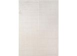 Nova Luo Tappeto Pelo Corto Runner 80X150Cm Crema