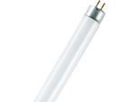 Osram Lumilux T8 Lampadina Fluorescente 15 W G13 Bianco Caldo