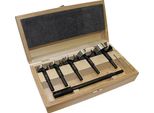 Set Di Punte Black Shark Pro 6-Pz.D.35,40,50,60,68 Mm+Posizione FISCH-TOOLS