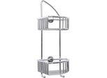 Tesa 40223-00000-00 Cestino Doccia Angolare (40223-00000-00)