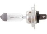 Corexx Lampada Principale H7, Base Px26D 12 V, 55 W, Pezzo