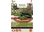 Buzzy Patio Veggies Zucchino Patio Star F1 Semi - Circa 6 Semi | Buzzy_083006