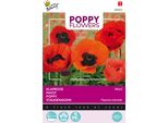 Buzzy Fiori Di Papavero Semi Di Papavero Orientale - Circa 0,15 Gr | Buzzy_080859