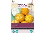 Buzzy Xotica Cetriolo Limone Mela Semi - Circa 2 Gr | Buzzy_080424