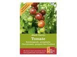 Pomodoro Ciliegia Black Cherry | Semi Di Pomodoro Da Cocktaildi Prospecierara
