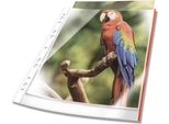 Durable Busta Perforata Premium A4 In Pp Extra Lucido Con Bordo Colorato Busta 10 Pezzi, 10 Pezzi, Rosso, 265403