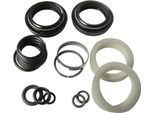 Rockshox 00.4315.032.400 Kit Di Manutenzione Forcella 30 Gold Am, Basic (1 Set)