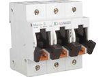Interruttore Di Sicurezza 1+N 63A D02 Z-SLS/NEOZ/1+N 248237